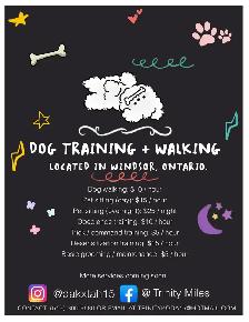 Dog training & walking services!