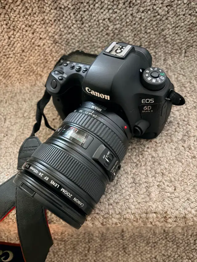 Canon 24-105 f4 L lens
