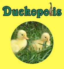 Looking to be a duck farmer?