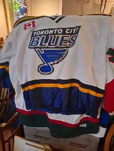 Hockey Team Jerseys FREE - Photo 4