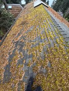 Roof Moss Removal & Gutter Cleaning - Vancouver & Island