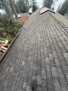 Roof Moss Removal & Gutter Cleaning - Vancouver & Island - Photo 3