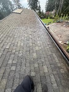 Roof Moss Removal & Gutter Cleaning - Vancouver & Island - Photo 4