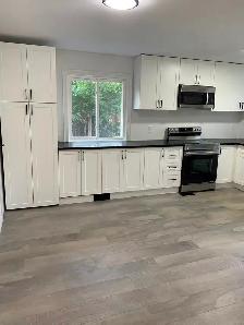 Three Rooms Ground Floor Unit for Rent in Burlington - Photo 4
