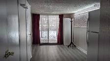 Studio Basement Apartment for Rent (McCowan & Finch)