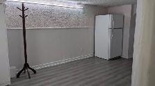 Studio Basement Apartment for Rent (McCowan & Finch) - Photo 2
