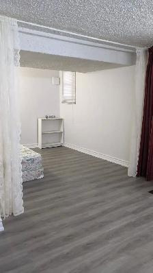 Studio Basement Apartment for Rent (McCowan & Finch) - Photo 3