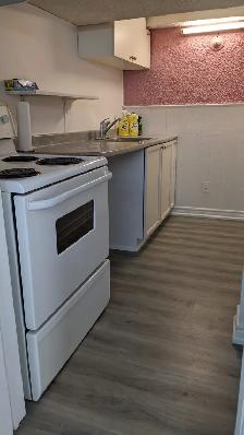 Studio Basement Apartment for Rent (McCowan & Finch) - Photo 4