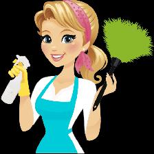 European Cleaning Lady – Reliable - Photo 2