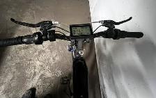 Custom conversion e-bike STOLEN - Photo 4