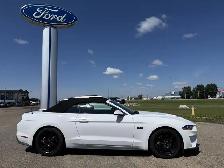 2019 Ford Mustang GT Premium Convertible / Showstopper Red Inter - Photo 3