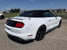 2019 Ford Mustang GT Premium Convertible / Showstopper Red Inter - Photo 4