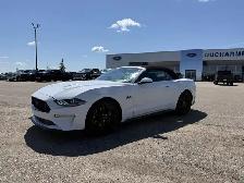 2019 Ford Mustang GT Premium Convertible / Showstopper Red Inter - Photo 6