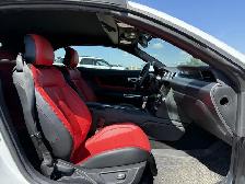 2019 Ford Mustang GT Premium Convertible / Showstopper Red Inter - Photo 7