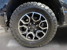 2023 Ford F-150 XLT 4WD SuperCrew 5.5' Box - Photo 7