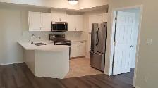 University Condo For Rent