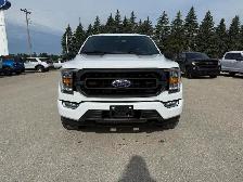 2023 Ford F-150 XLT - Photo 3