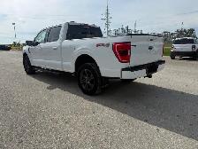 2023 Ford F-150 XLT - Photo 6