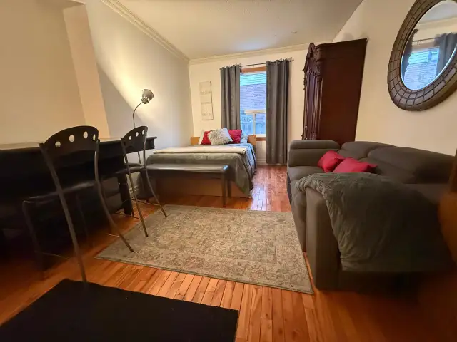 Large room with kitchenette perfect for a single professional.