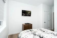 BRAND NEW LUXURY DUPLEX FOR RENT - Photo 9