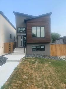BRAND NEW LUXURY DUPLEX FOR RENT - Photo 10
