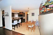 Open, Spacious Basement Suite in Clearview - Available Aug 1/26 - Photo 3