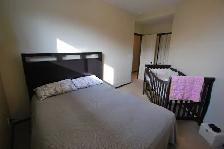 Open, Spacious Basement Suite in Clearview - Available Aug 1/26 - Photo 6