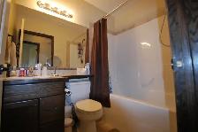 Open, Spacious Basement Suite in Clearview - Available Aug 1/26 - Photo 7