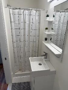 Studio Apartment | Exposed Brick, High Ceilings | Cargill - Photo 5