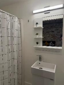 Studio Apartment | Exposed Brick, High Ceilings | Cargill - Photo 8