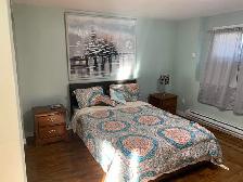 AVAILABLE AUGUST 1st - Fully furnished 2 bedroom apartment - Photo 8