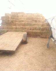 Premium Hay
