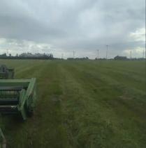 Premium Hay - Photo 2