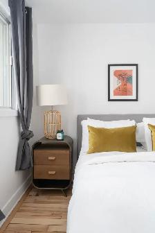 ⭐️ 3 1/2 à louer – Centre-Sud Montréal / 1 Bed 1 Bath Apartment - Photo 15
