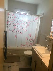 Private Spacious and Quiet 2Bdrm Main Floor Suite For Rent - Photo 5