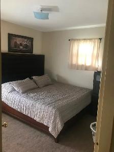 Private Spacious and Quiet 2Bdrm Main Floor Suite For Rent - Photo 6