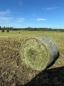 Silage Bales