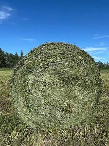 Silage Bales - Photo 2