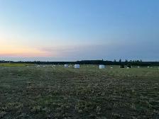 Silage Bales - Photo 3