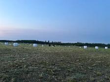 Silage Bales - Photo 4