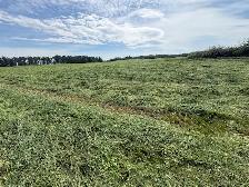 First Cut Round Hay Bales for 2026 - Photo 2