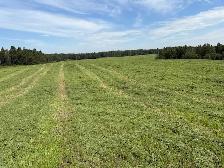 First Cut Round Hay Bales for 2026 - Photo 4