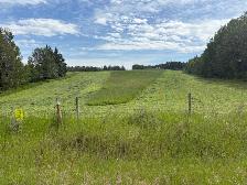 First Cut Round Hay Bales for 2026 - Photo 5