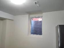 Elegant One bedroom basement apartment – Milton - Photo 4