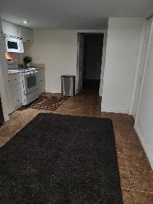 Elegant One bedroom basement apartment – Milton - Photo 5
