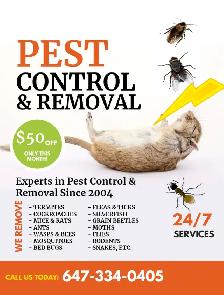 PEST CONTROL, TERMITE TREATMENT & WILDLIFE REMOVAL ,647-334-0405 - Photo 4