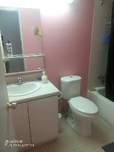 private furnished bedroom with private bathroom for rent - Photo 4