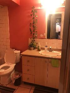 One Bedroom Basment for rent - Photo 2