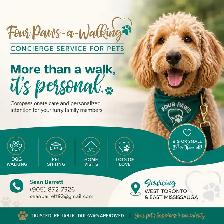 Dog walker