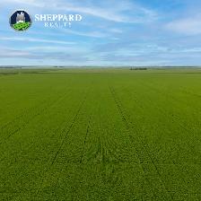 Premier Farmland Offering | 12,511 Acres | Near Regina, SK Area - Photo 3